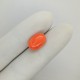 Coral (Moonga) 4.98 Ct Best Quality Coral (Moonga) 4.98 Ct Best Quality